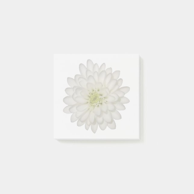 Weiße Chrysantheme-Haftnotizen Post-it Klebezettel (Vorderseite)