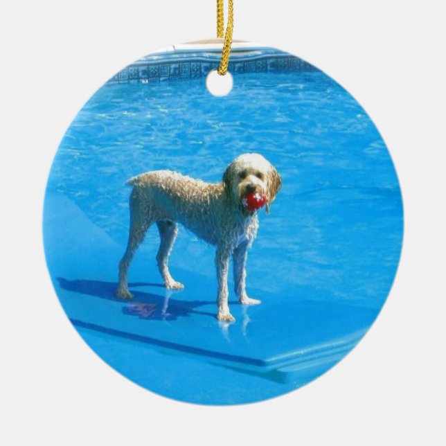 Weiße Cockapoo Hundeschwimmen auf einem Floss Keramik Ornament (Vorne)