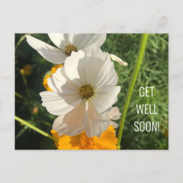 WEISSE COSMO-BLUME WIRD BALD GUT POSTKARTE