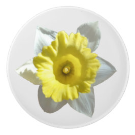 Weiße Daffodil Keramikknauf