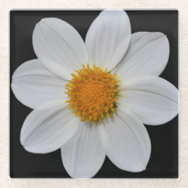 Weiße Dahlia auf Schwarzer Flora Glasuntersetzer
