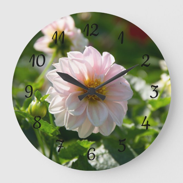 Weiße Dahlie im Foto Große Wanduhr (Vorderseite)