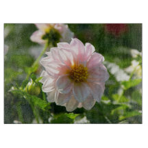 Weiße Dahlie im Foto