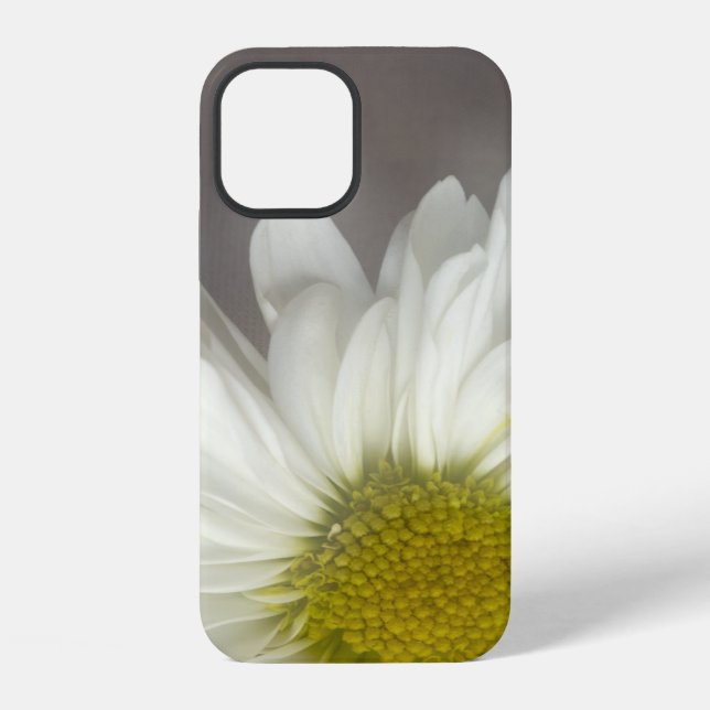 Weiße Daisy auf Grau iPhone Hülle (Rückseite)