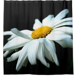Weiße Daisy-Blume im Wind Duschvorhang