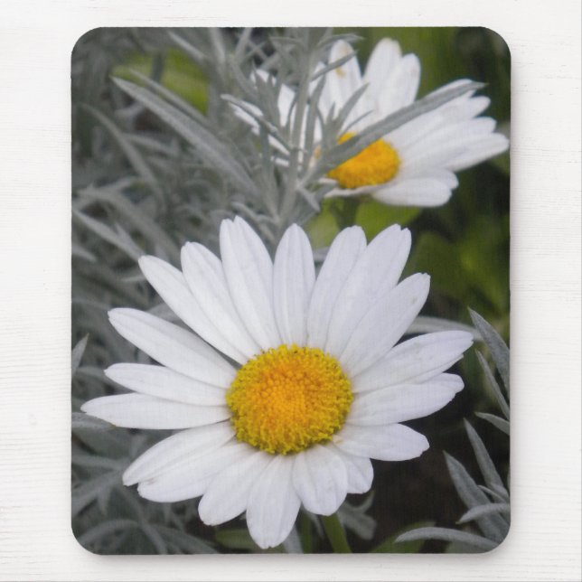 Weiße Daisy-Maus-Pad Mousepad (Vorne)