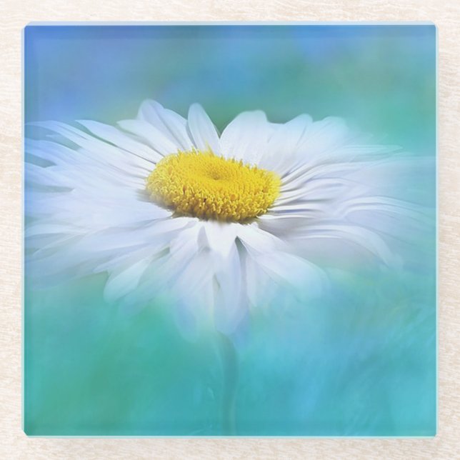 Weiße Daisy mit blauem Hintergrund Glasuntersetzer (Vorderseite)