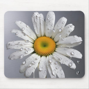 Weiße Daisy mit Regentropfen Mousepad