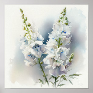 Weiße Delphinium-Blumenkunst Druck Poster