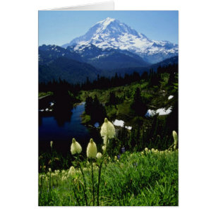 weiße der Mount- RainierBlumen