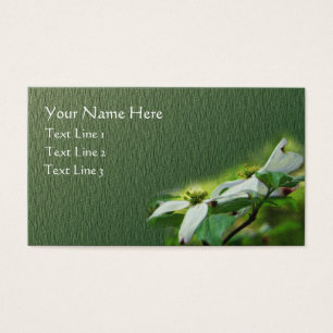 Weiße Dogwood-Blume blühen floral