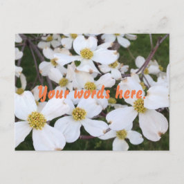 Weiße Dogwood-Blume Ihre Worte Postkarten