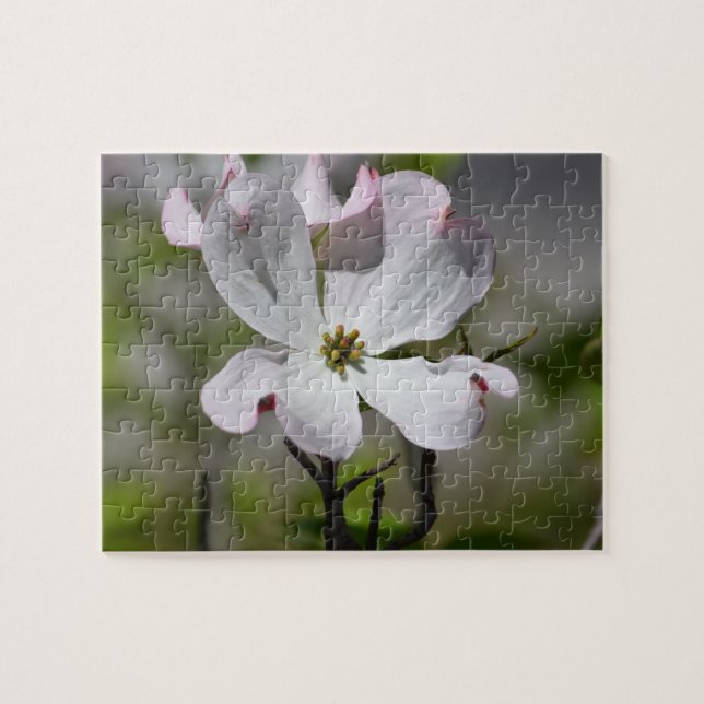 Weiße Dogwood-Blume Puzzle (Horizontal)