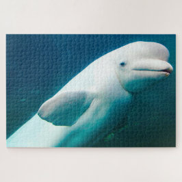 Weiße Dolphin Puzzle