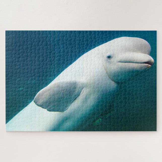 Weiße Dolphin Puzzle (Horizontal)