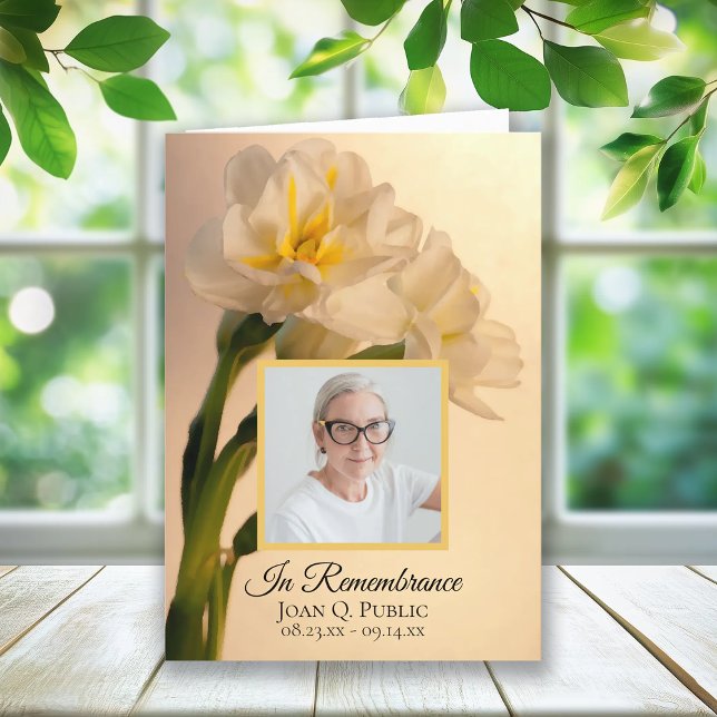 Weiße Doppel-Daffodien Begräbnisdienst geklappt Programm (Von Creator hochgeladen)