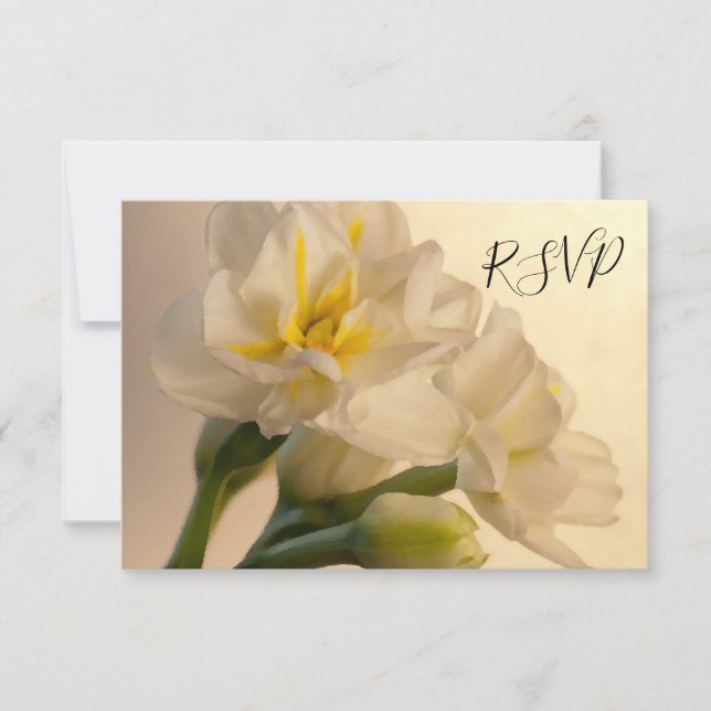 Weiße Doppel-Daffodien für die Hochzeit der RSVP-A RSVP Karte (Vorderseite)