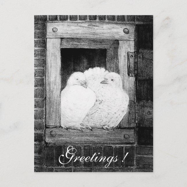 WEISSE DOVEN AM FENSTER Schwarzweiß Postkarte (Vorderseite)