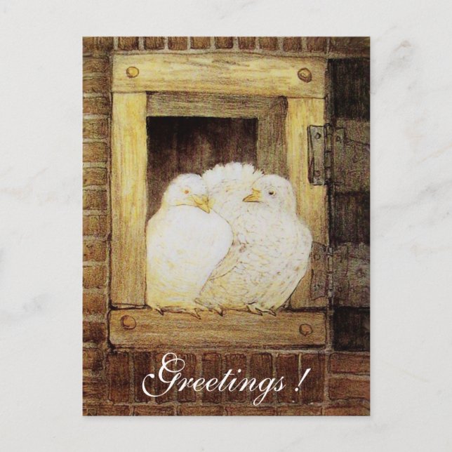 WEISSE DOVEN IM FENSTER, antik-braun-gelb Postkarte (Vorderseite)