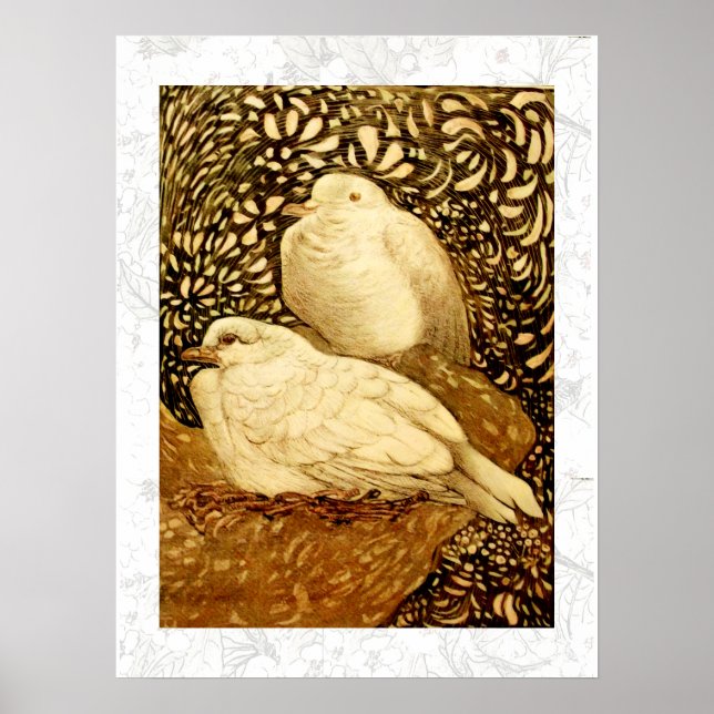 WEISSE DOVEN IN BROWN SEPIA POSTER (Vorne)