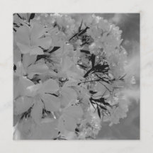 Weiße drapierte Blumen-Speisekarte