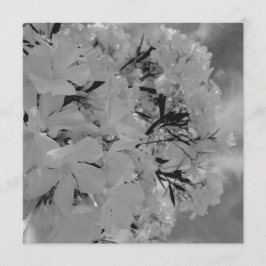 Weiße drapierte Blumen-Speisekarte Menükarte