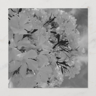 Weiße drapierte Blumen-Speisekarte Menükarte