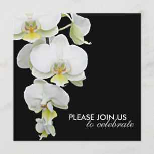 Weiße elegante Orchideen Hochzeits- / Anlass-Einla Einladung