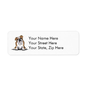 Weiße englische Bulldogge Browns n sitzen hübsch