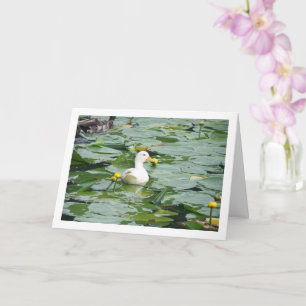 Weiße Ente im Lili-Teich Karte