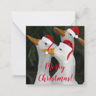 Weiße Enten mit roten Weihnachtsmannmützen Feierta Mitteilungskarte