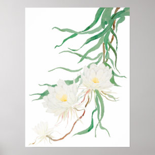 weiße Epiphyllum-Blüten-Aquarell Poster