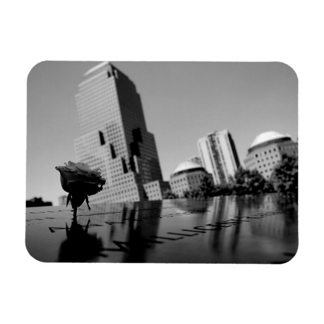 Weiße Erinnerungsrose Magnet (Horizontal)