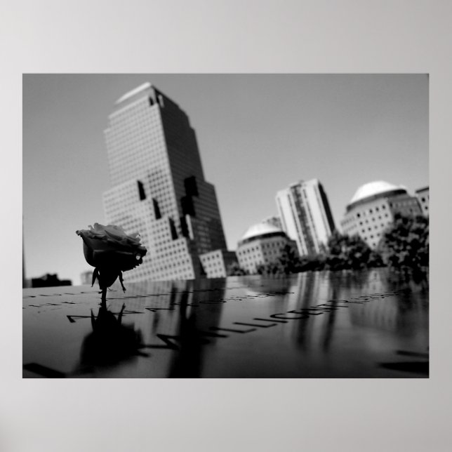 Weiße Erinnerungsrose Poster (Vorne)