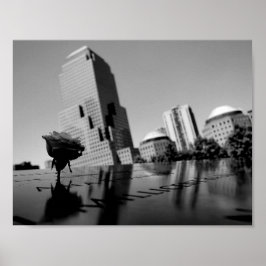 Weiße Erinnerungsrose Poster