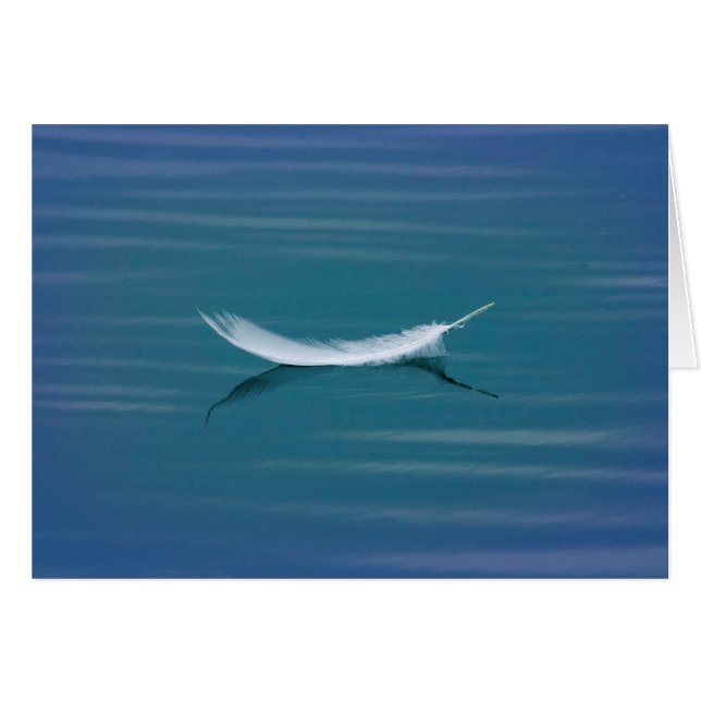 Weiße Feder auf Wasser (Vorderseite (Horizontal))