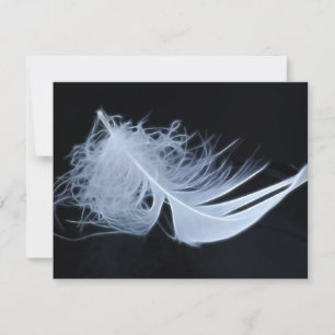 Weiße Feder - Engel von Natur