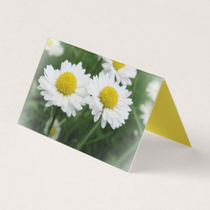 weiße Floer Benutzerdefinierte horizontale Zeltfal Visitenkarten
