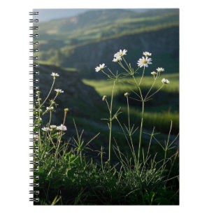 Weiße Florale Daisy Natur Landschaft Notizblock