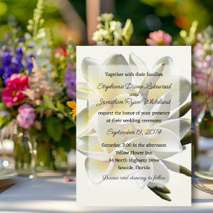 Weiße Frangipani-Hawaiian-Blumen zur Hochzeit Einladung