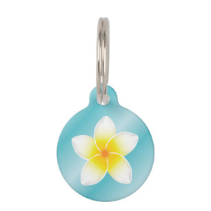 Weiße Frangipani-Plumerienblüte mit Hundeinfos Tiermarke