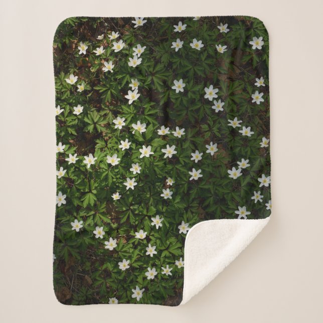 Weiße Frühlingsblumen im Wald Sherpadecke (Vorderseite)