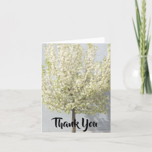 Weiße Frühlingsblüten voller Baum Dankeskarte