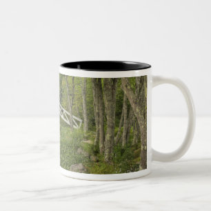 Weiße Fußgängerbrücke, Somesville, Mount Desert Zweifarbige Tasse