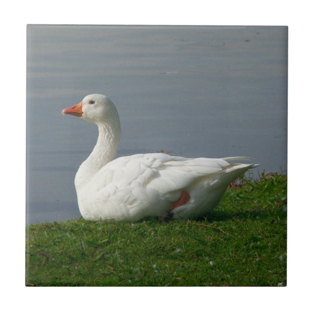 Weiße Gans Fliese (Vorderseite)