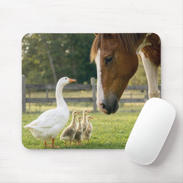 Weiße Gans mit Gössen und Pferd Mousepad (Mit Mouse)
