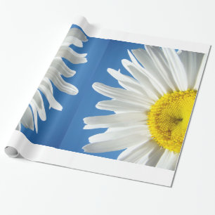 Weiße Gänseblümchen-Blumen Geschenkpapier Blauer H