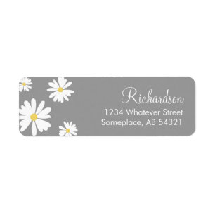 Weiße Gänseblümchen-Blumen-graue