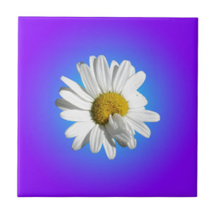 Weiße Gänseblümchen-Blumenflorale lila blaue Abstu Fliese