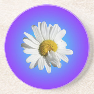 Weiße Gänseblümchen-Blumenflorale lila blaue Abstu Getränkeuntersetzer